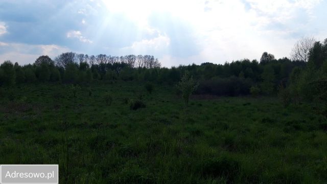 Działka rolna Liszkowo. Zdjęcie 1