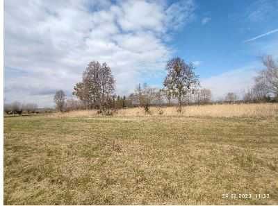 Działka siedliskowa Kolno. Zdjęcie 5