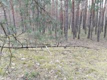 Działka rekreacyjna Osieck. Zdjęcie 1