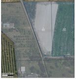 Działka rolna Wola Worowska. Zdjęcie 2