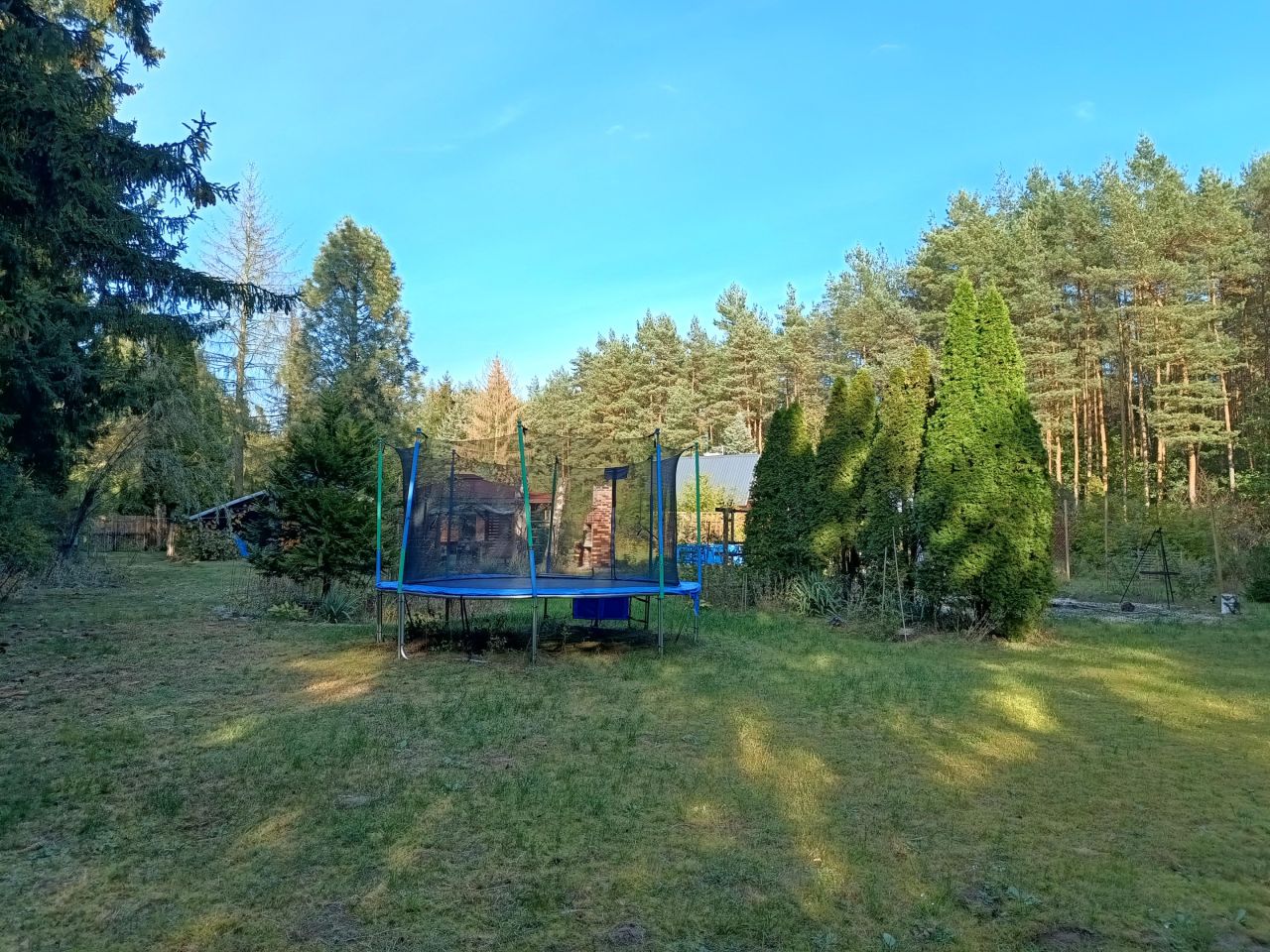 Działka budowlana Adamów-Wieś, ul. Sarnia. Zdjęcie 9