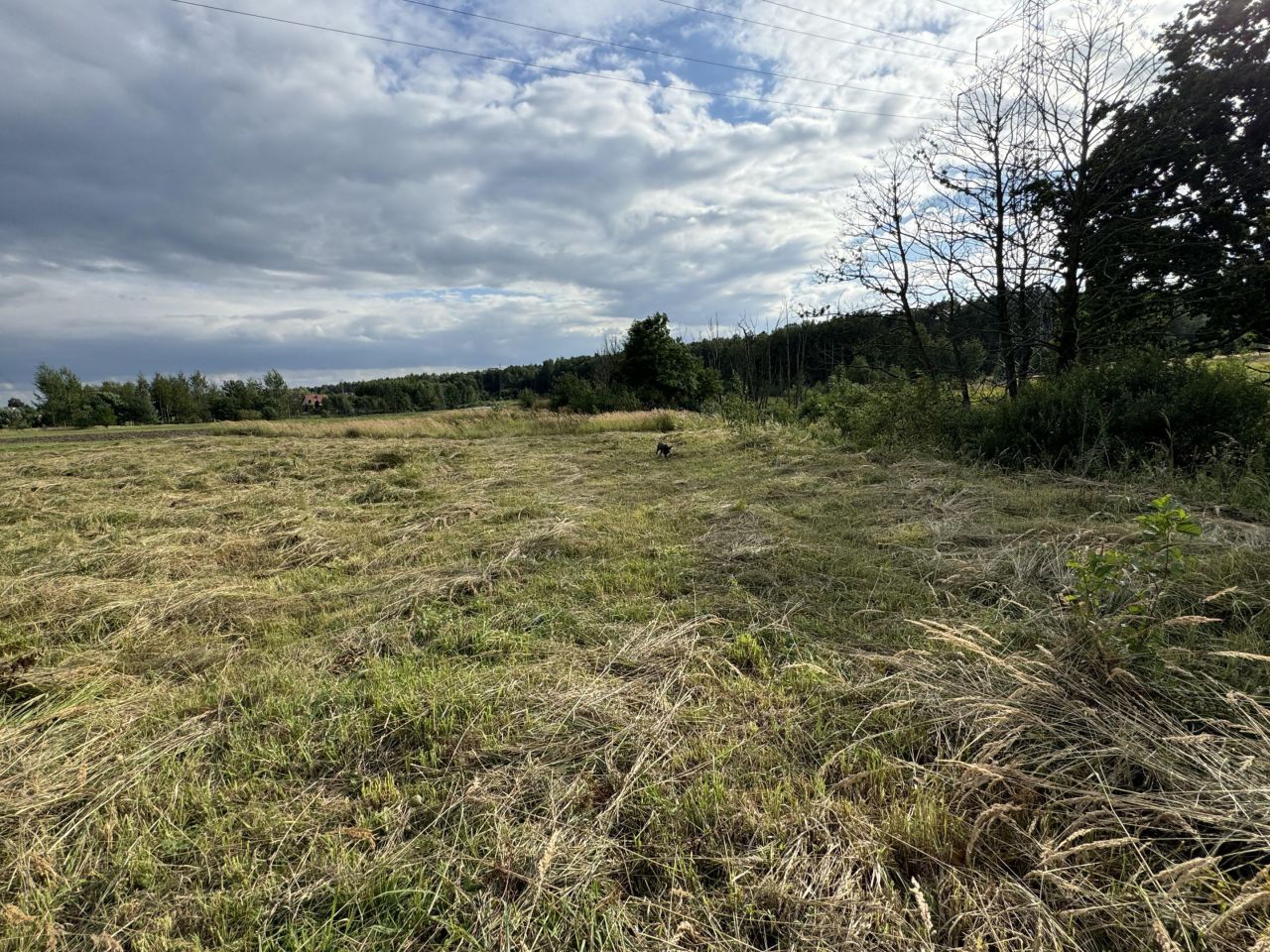 Działka budowlana Mysłowice Wesoła, ul. 3 Maja. Zdjęcie 9