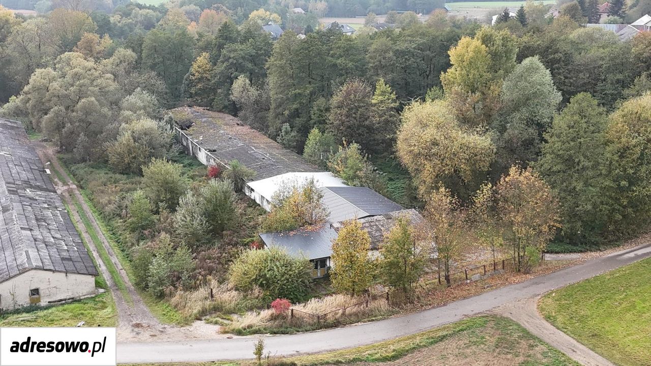 Działka inwestycyjna Radwanowice. Zdjęcie 9