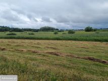 Działka rolno-budowlana Krężno. Zdjęcie 3