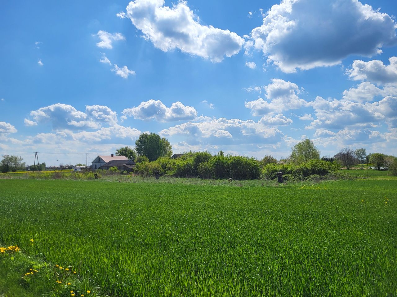 Działka rolna Nowy Stręczyn. Zdjęcie 8