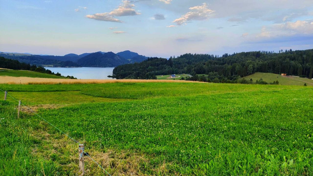 Działka rolna Falsztyn, ul. Dworska