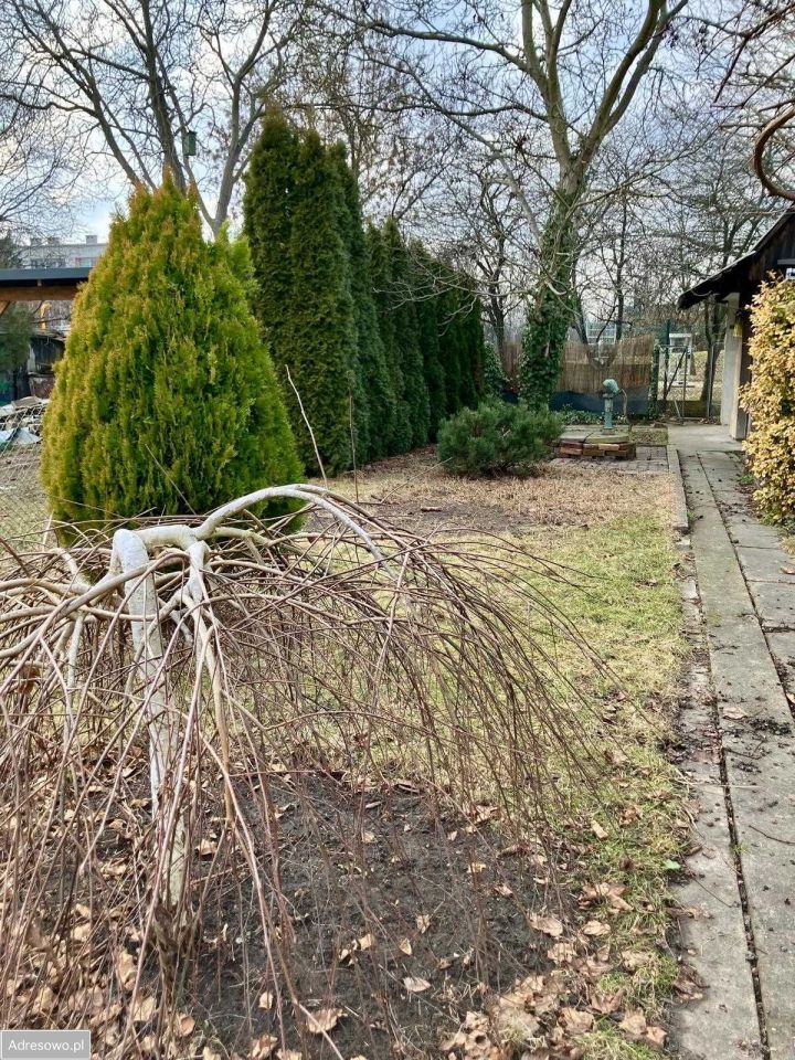 Działka rod Wrocław Klecina, ul. Karmelkowa. Zdjęcie 6