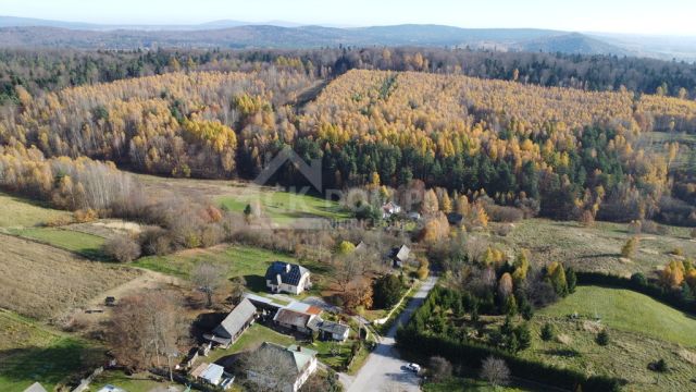 Działka rolna Cisów. Zdjęcie 5