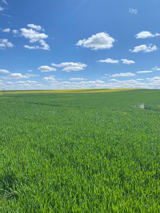Działka rolno-budowlana Godów