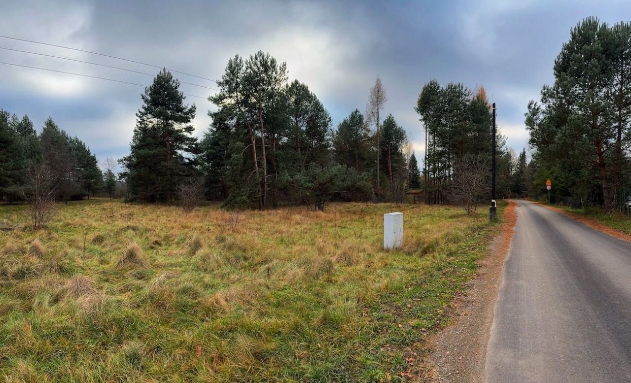 Działka Ruda. Zdjęcie 7