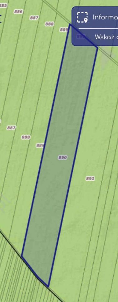 Działka leśna Zegartowice