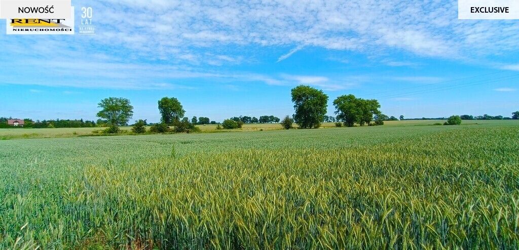 Działka siedliskowa Parsów. Zdjęcie 5
