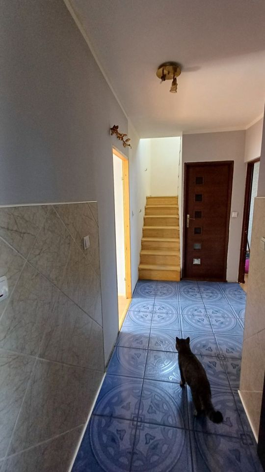 dom wolnostojący, 6 pokoi Olszanka, Olszanka. Zdjęcie 3