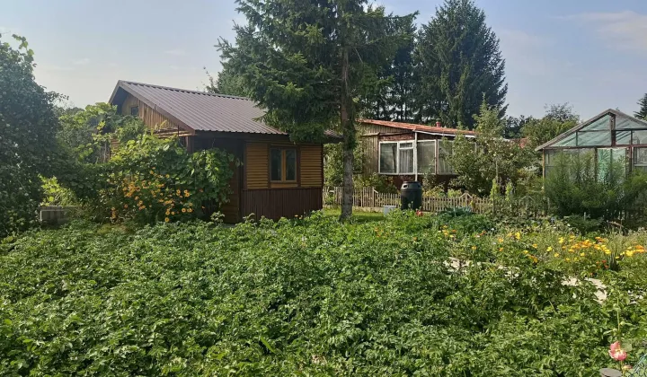 Działka rod Białystok Wygoda, ul. 42 Pułku Piechoty