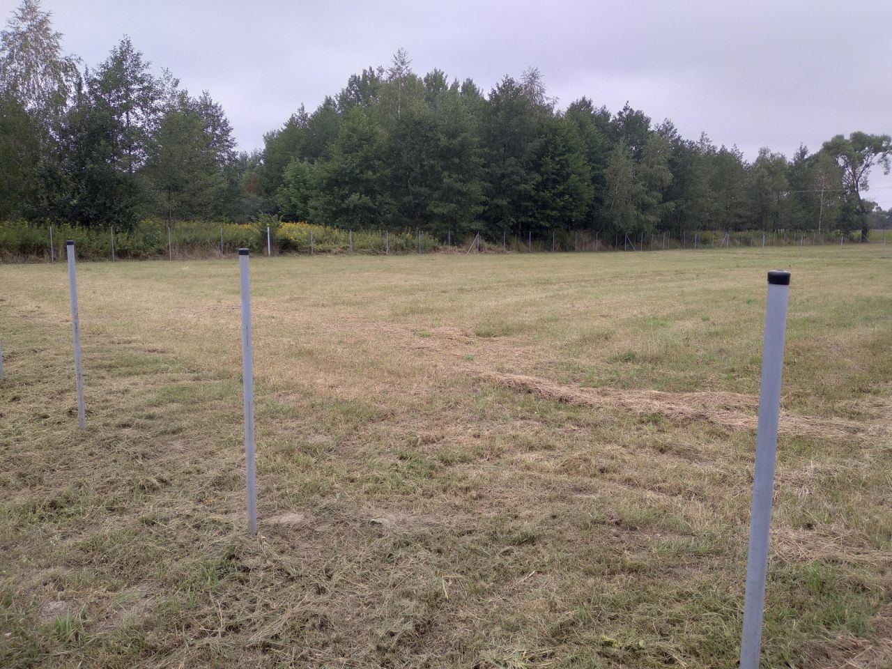 Działka inna Lubasz. Zdjęcie 10