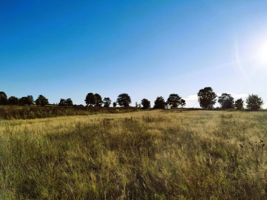 Działka budowlana Ząbrowo, ul. Bukowa. Zdjęcie 4