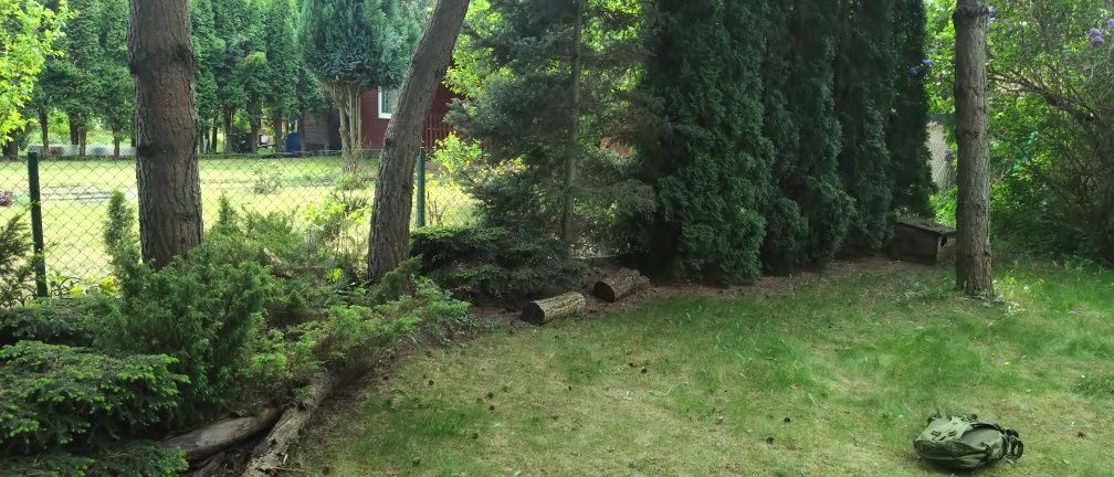 Działka rod Łódź Zdrowie. Zdjęcie 5