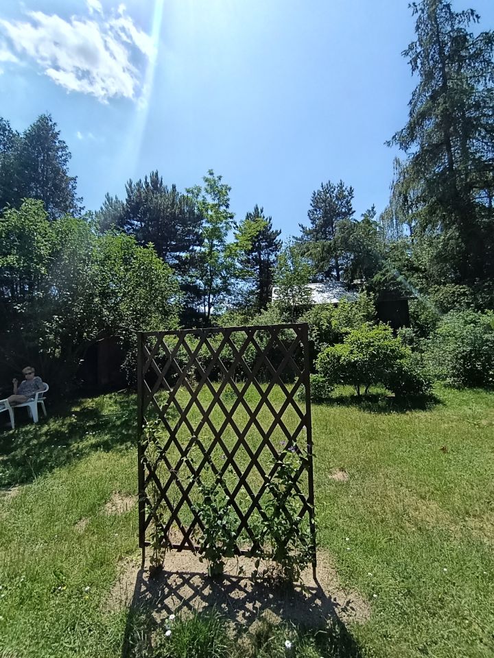 Działka rod Piotrkowice, ul. Tarczyńska. Zdjęcie 33