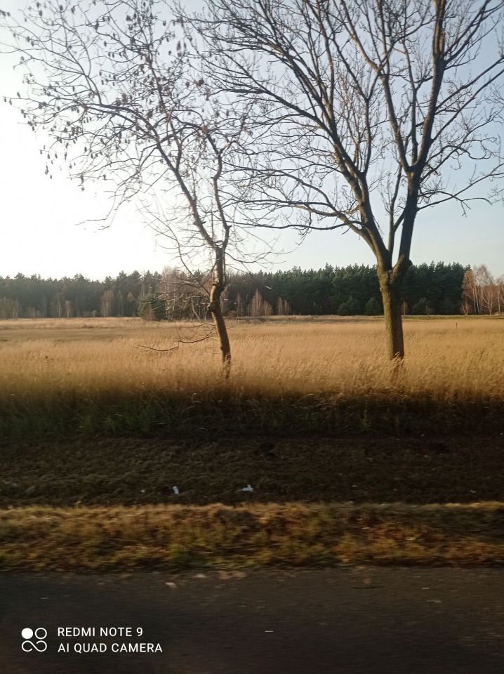 Działka inwestycyjna Warężyn Kuźnica Piaskowa. Zdjęcie 3