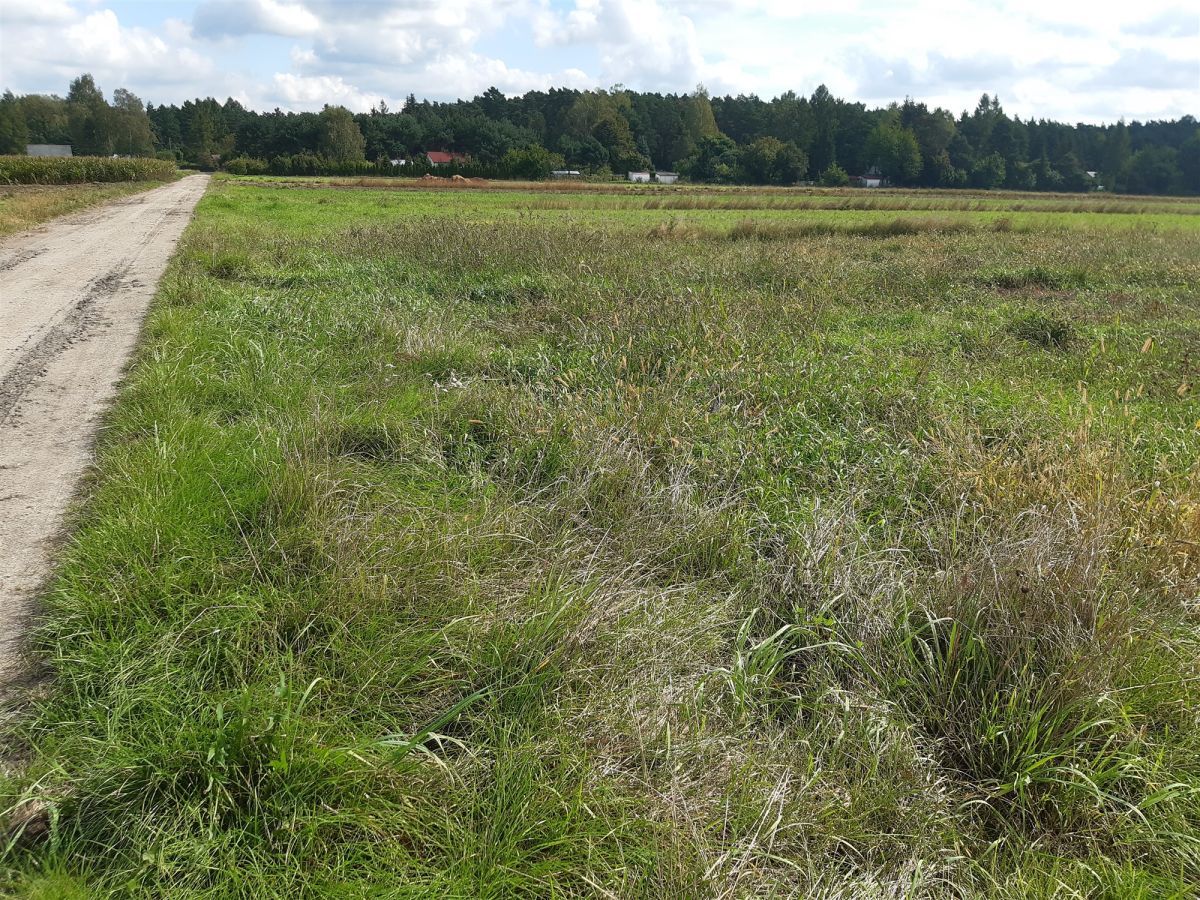 Działka rolna Barycz. Zdjęcie 7