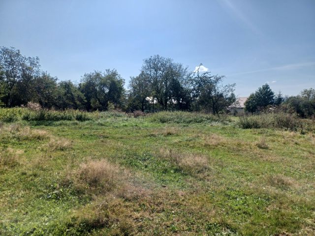 Działka rolno-budowlana Korczyna. Zdjęcie 10