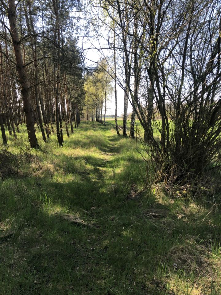 Działka budowlana Nekla, ul. Polna. Zdjęcie 3