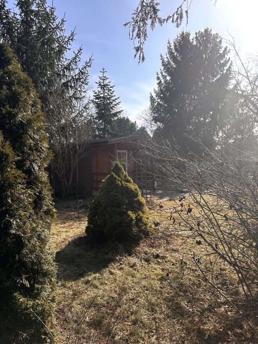 Działka rod Warszawa Wawer, ul. Borowiecka. Zdjęcie 2