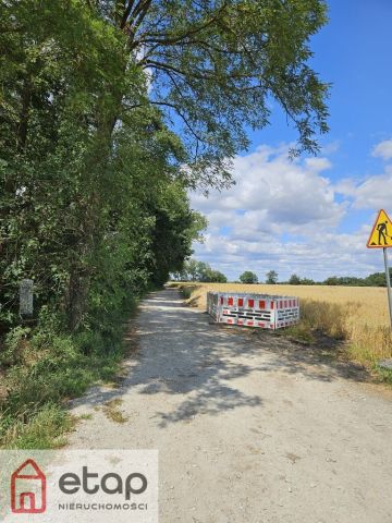 Działka budowlana Zborowo. Zdjęcie 5