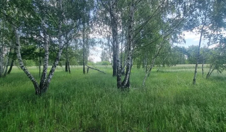 Działka budowlana Sarnowo