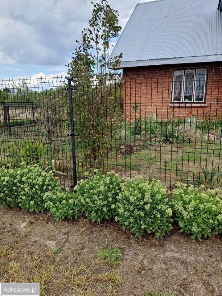 gospodarstwo, 4 pokoje Tarkawica. Zdjęcie 18