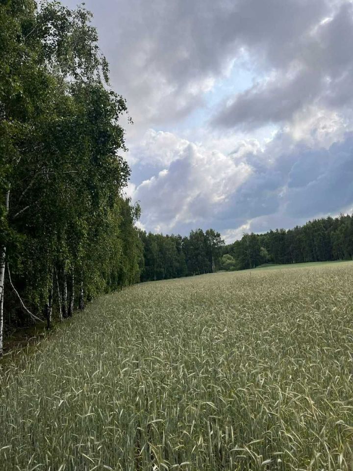 Działka budowlana Żurawieniec. Zdjęcie 7