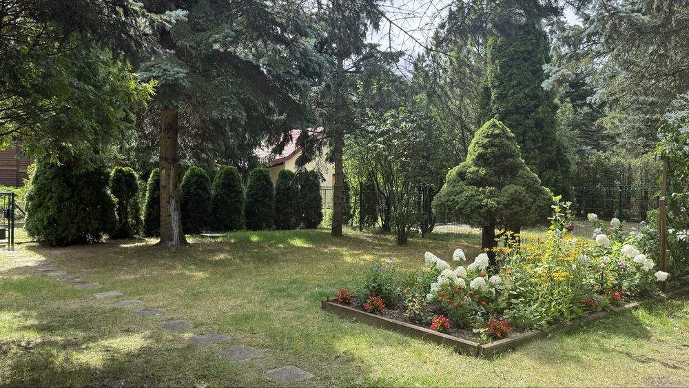 Działka rod Kamieńczyk. Zdjęcie 4