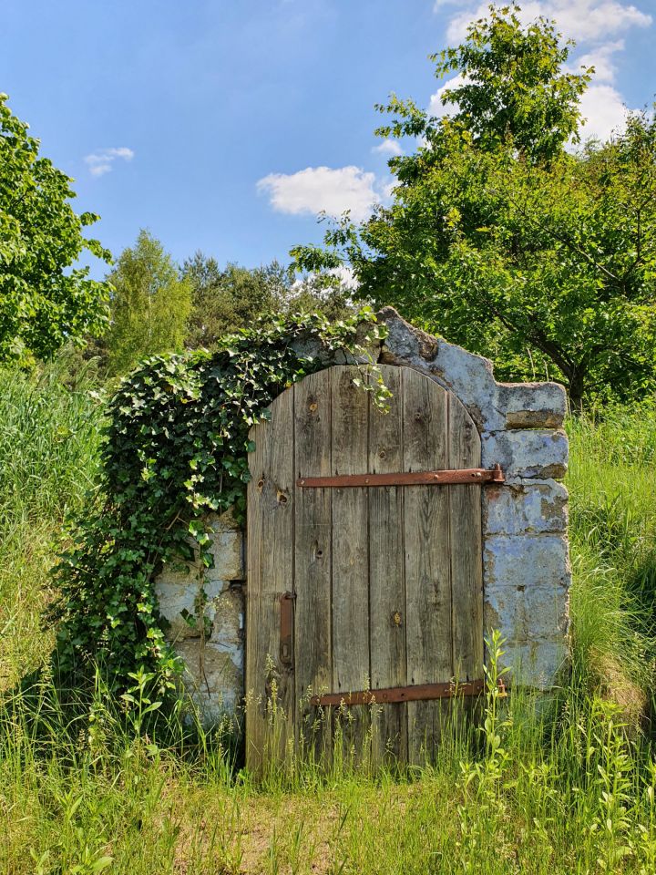 Działka siedliskowa Wola Władysławowska. Zdjęcie 20