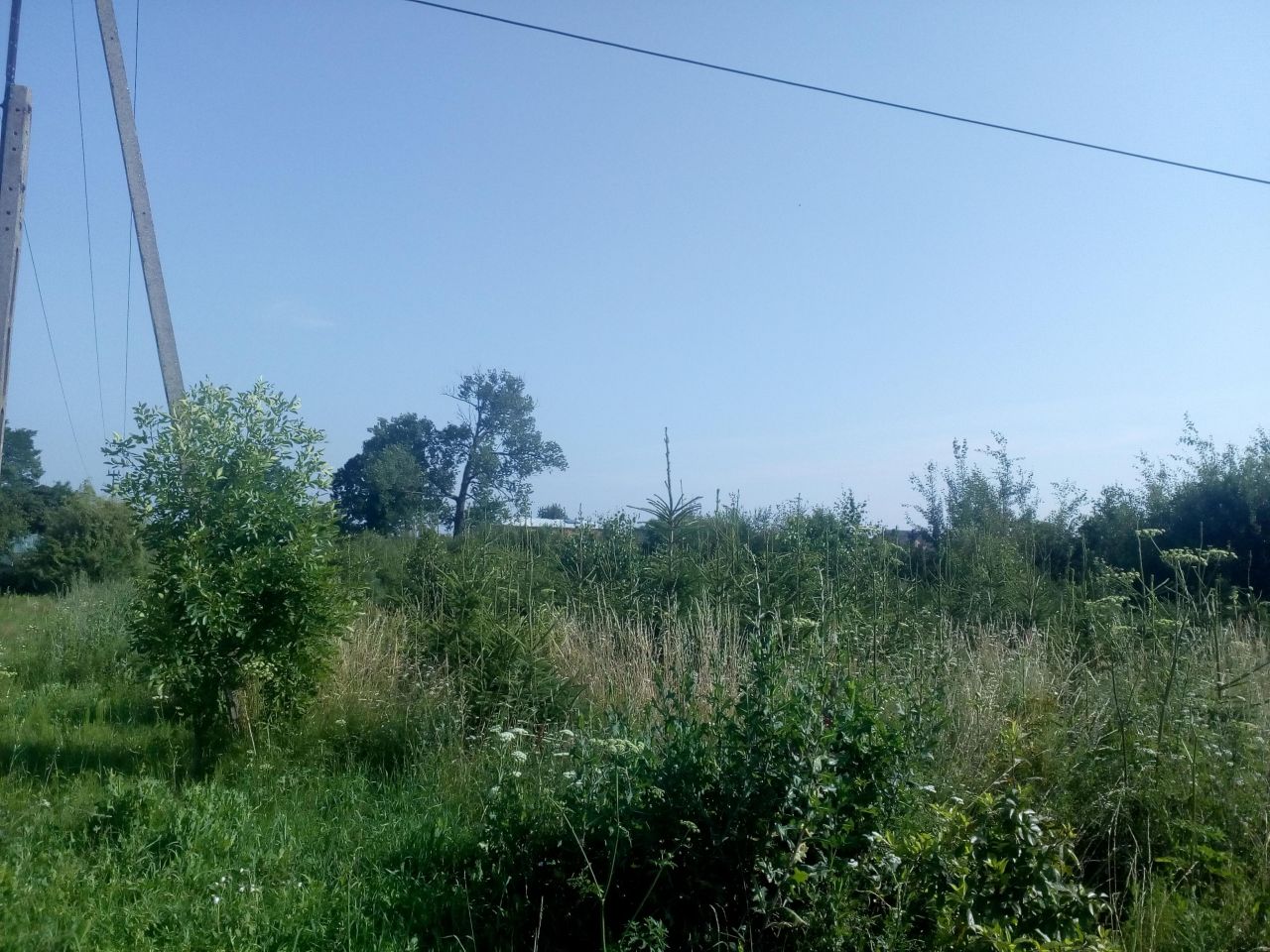 Działka rolna Sromutka. Zdjęcie 5