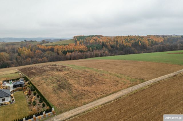 Działka budowlana Wolica. Zdjęcie 1