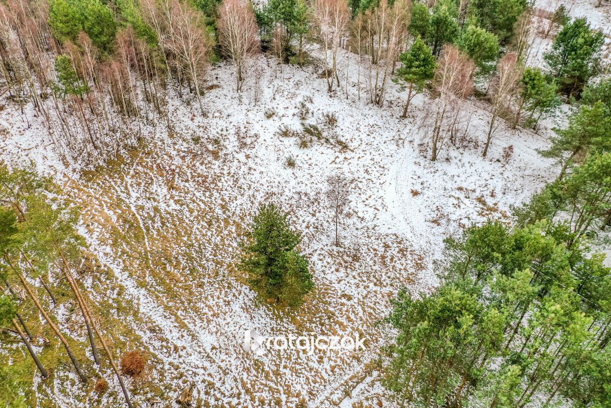 Działka budowlana Sasino, ul. Stara Cegielnia. Zdjęcie 5