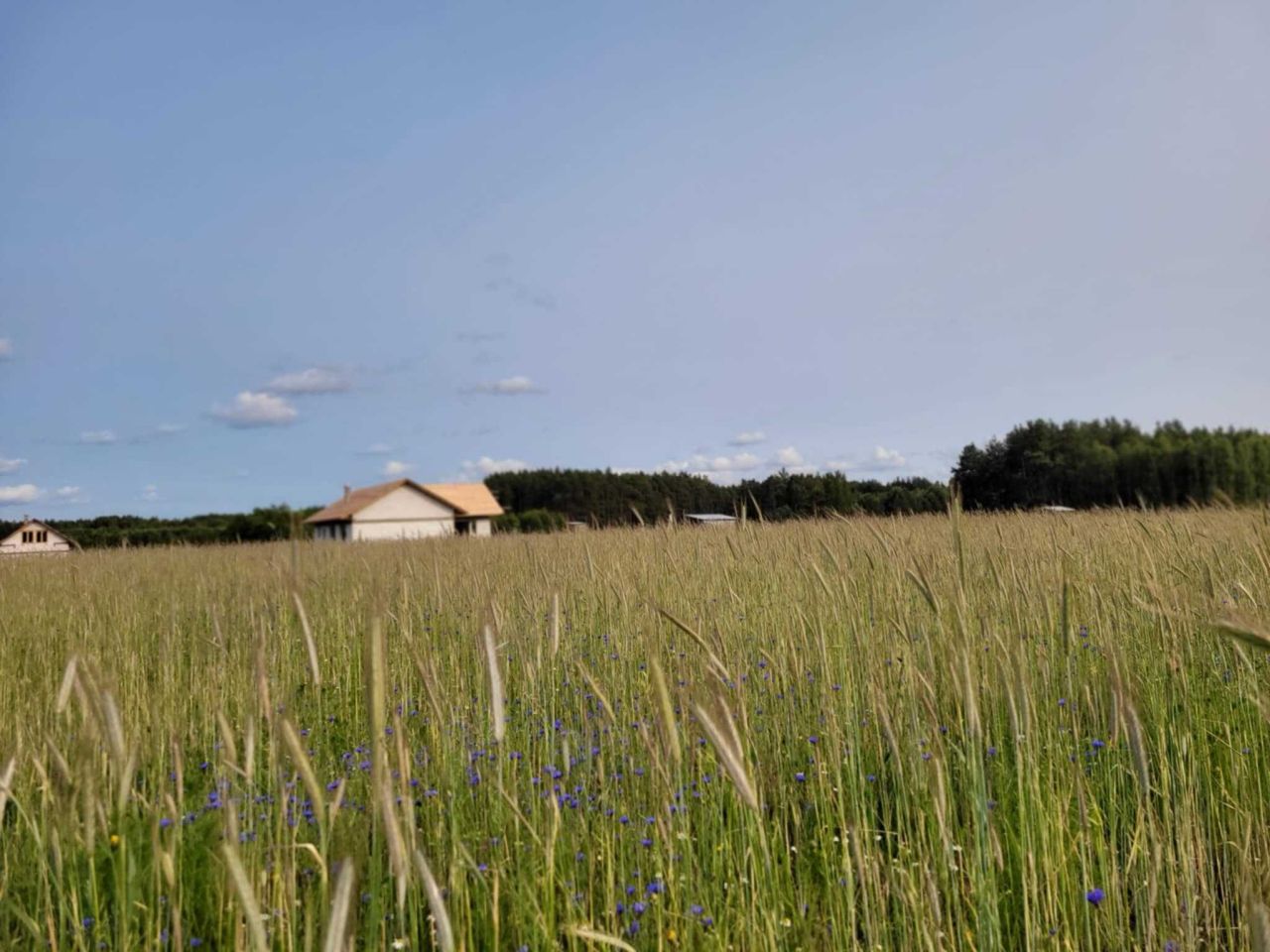Działka budowlana Nowy Sumin. Zdjęcie 7