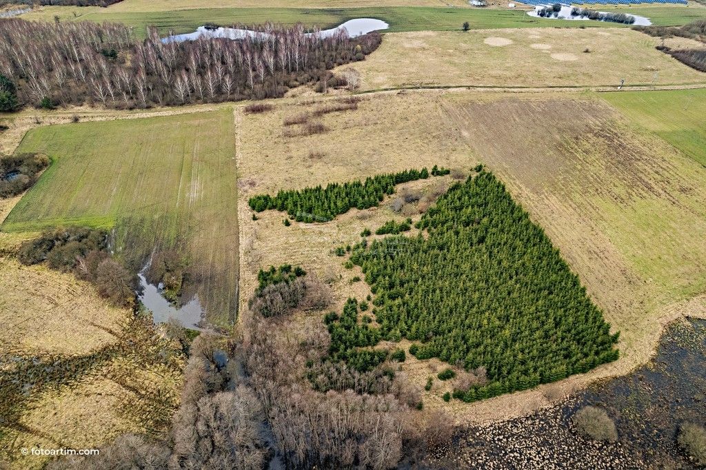 Działka budowlana Boguszewo. Zdjęcie 5