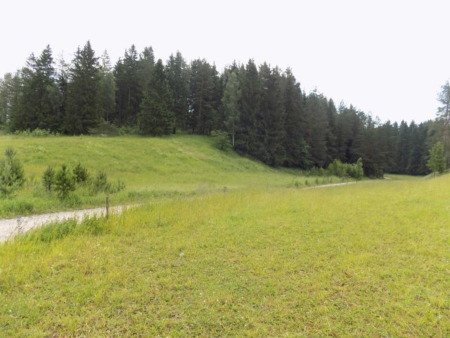 Działka budowlana Węgielnia. Zdjęcie 1