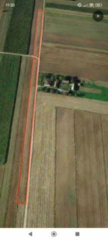 Działka rolna Tomaszówka. Zdjęcie 1