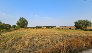 Działka rod Łobżenica, ul. Sportowa