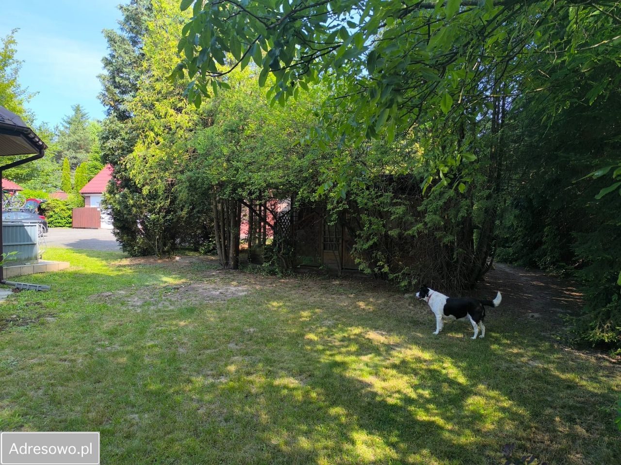 dom wolnostojący, 4 pokoje Czerniewice. Zdjęcie 8