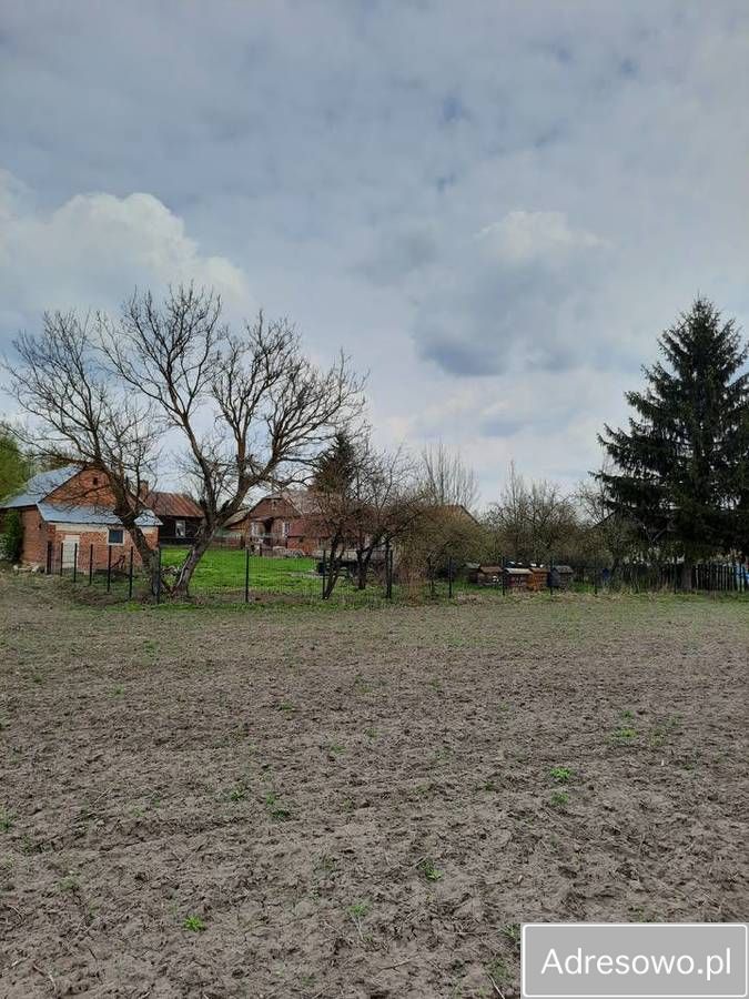 gospodarstwo Husynne. Zdjęcie 7