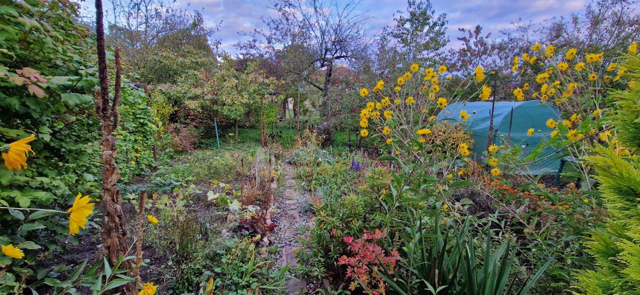 Działka rod Bolesławiec, ul. Piastów. Zdjęcie 2