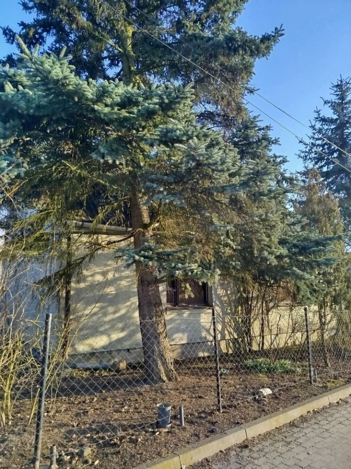 dom wolnostojący Żnin. Zdjęcie 1