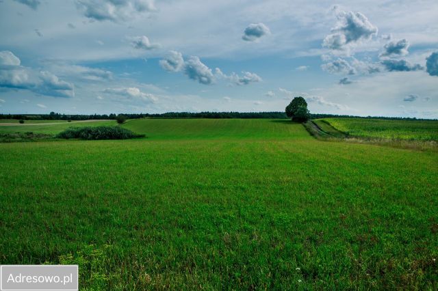 Działka Siedliska. Zdjęcie 1