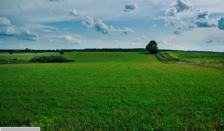 Działka Siedliska