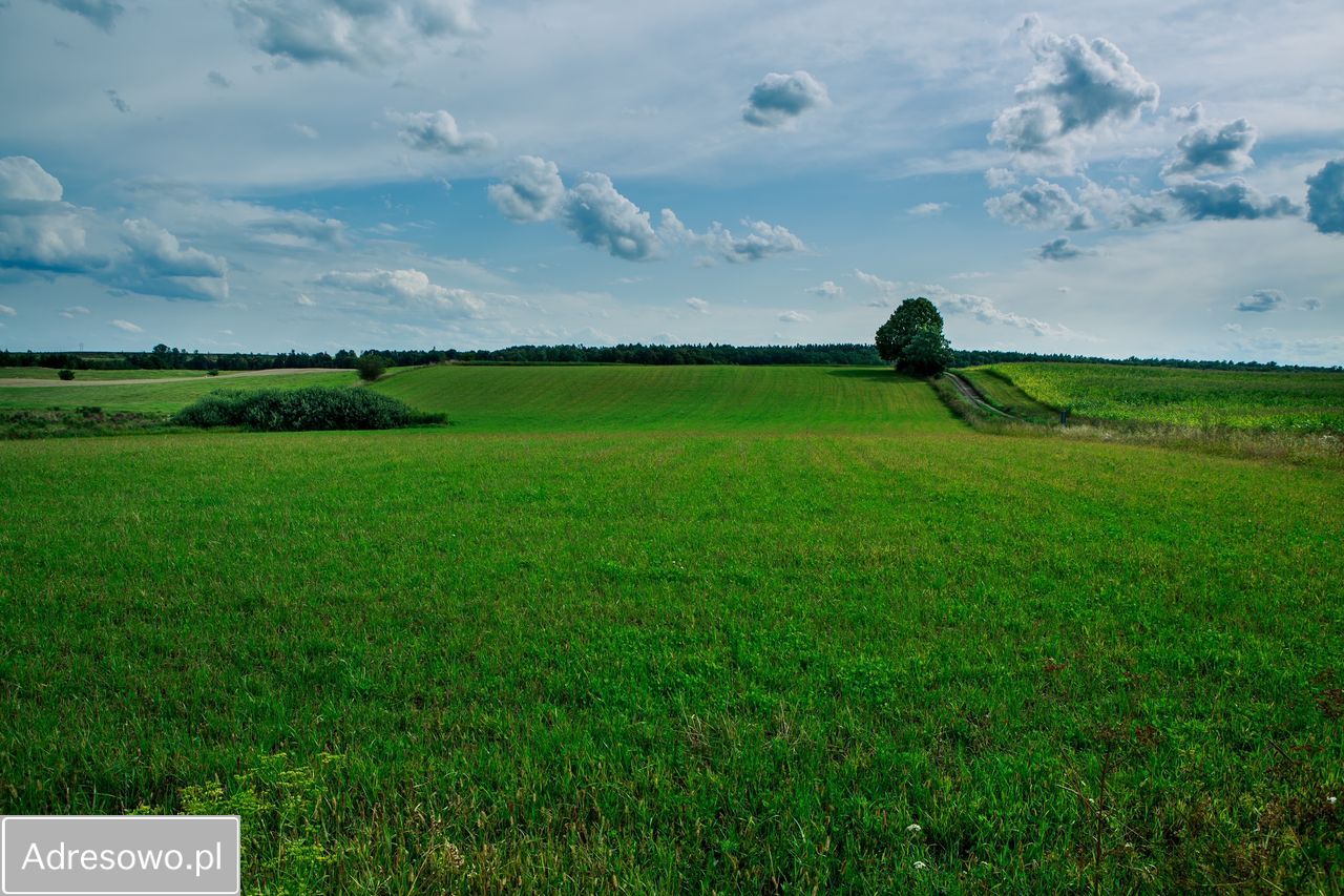 Działka Siedliska. Zdjęcie 1