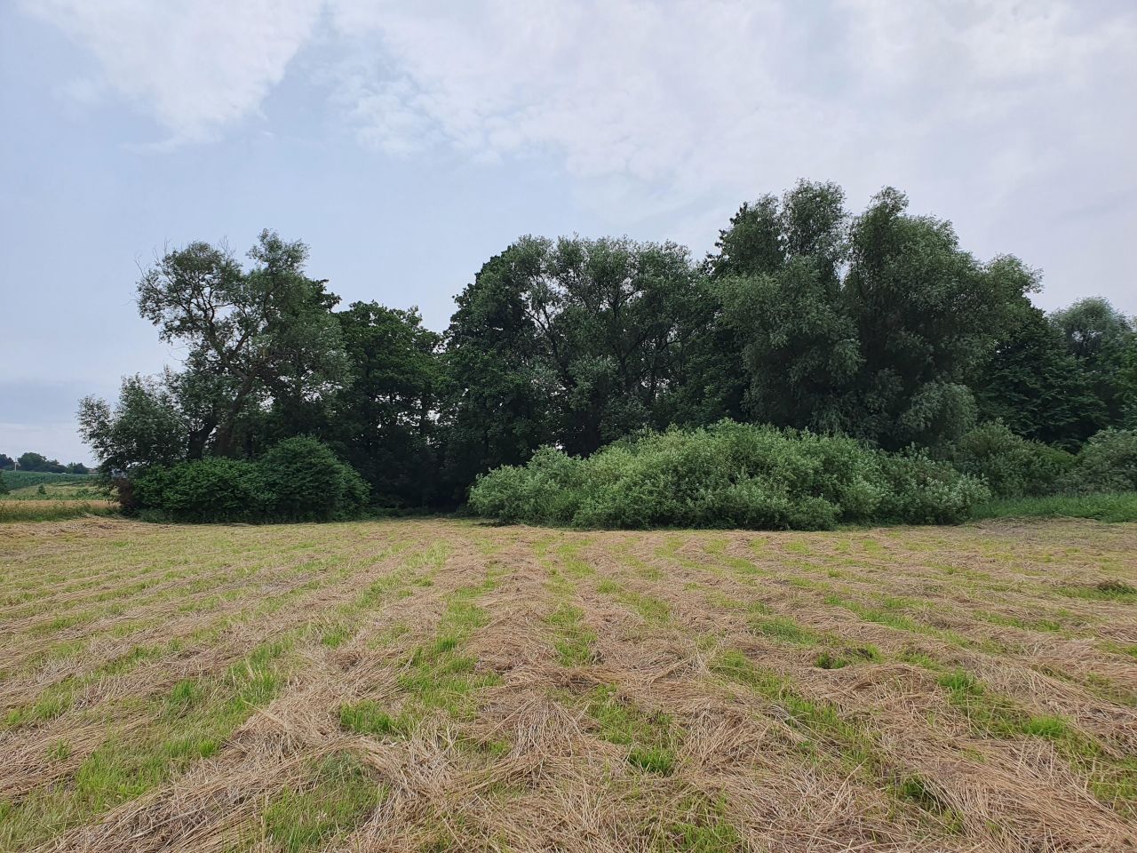 Działka rolna Głęboka. Zdjęcie 9