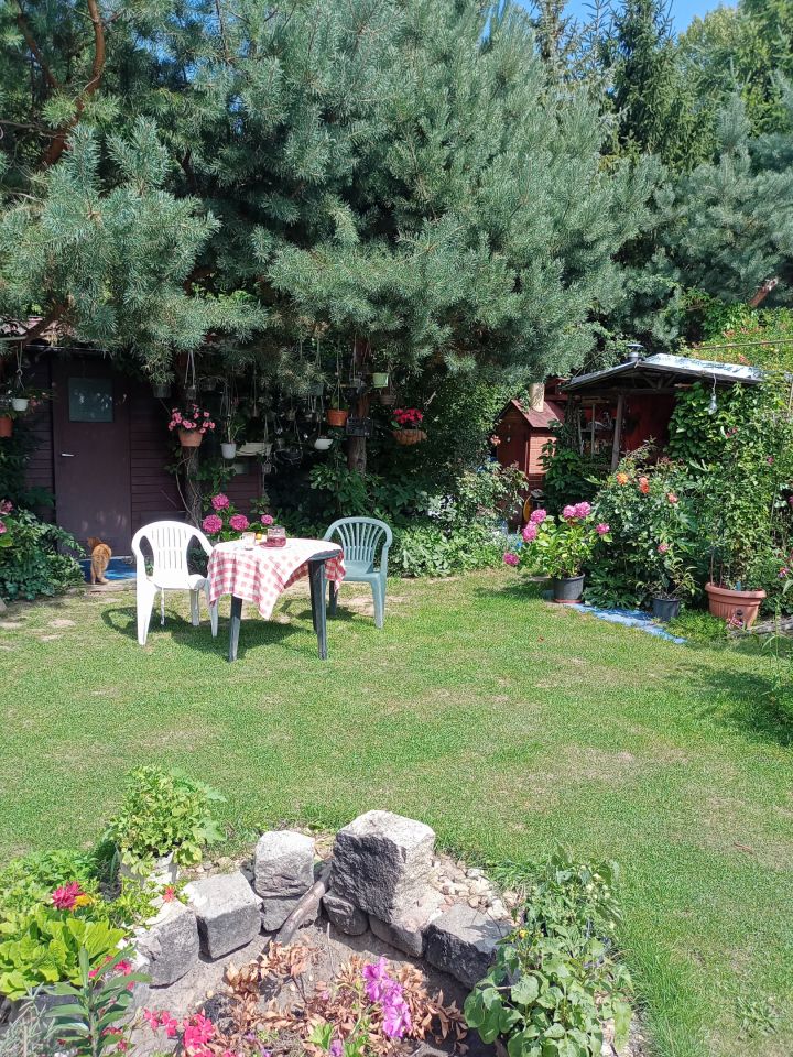 Działka rekreacyjna Wrocław Bierdzany, ul. Nizinna. Zdjęcie 34